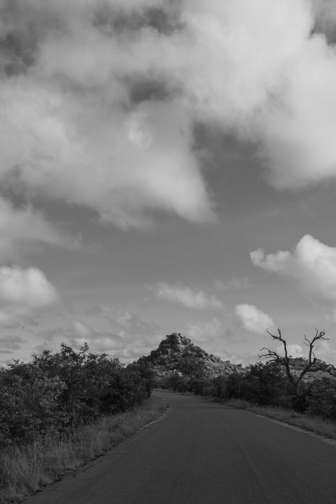Editorial lifestyle shot at Kruger National Park in the Lowveld, South Africa.